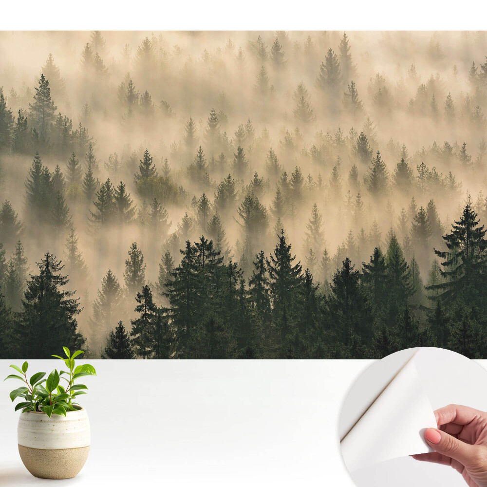 Fototapeta samoprzylepna do salonu Las w porannej mgle