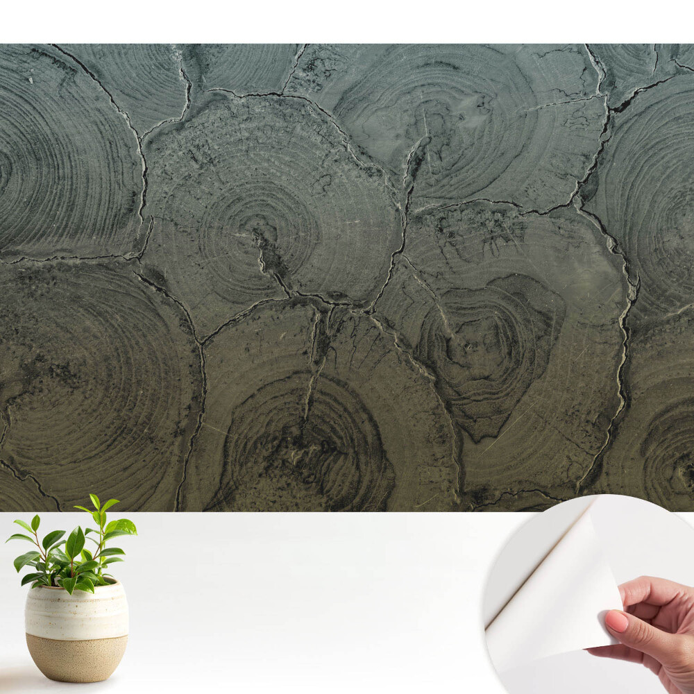 Fototapeta do salonu Szare słoje drewna klasyczny wzór