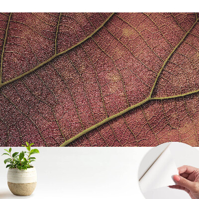 Fototapeta na wymiar do sypialni Struktura liścia pełna detali i kolorów