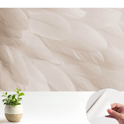 Fototapeta samoprzylepna do salonu Delikatne pióra harmonijna kompozycja