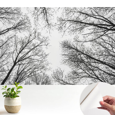 Tapeta fotograficzna samoprzylepna Czarno-białe zimowe drzewa
