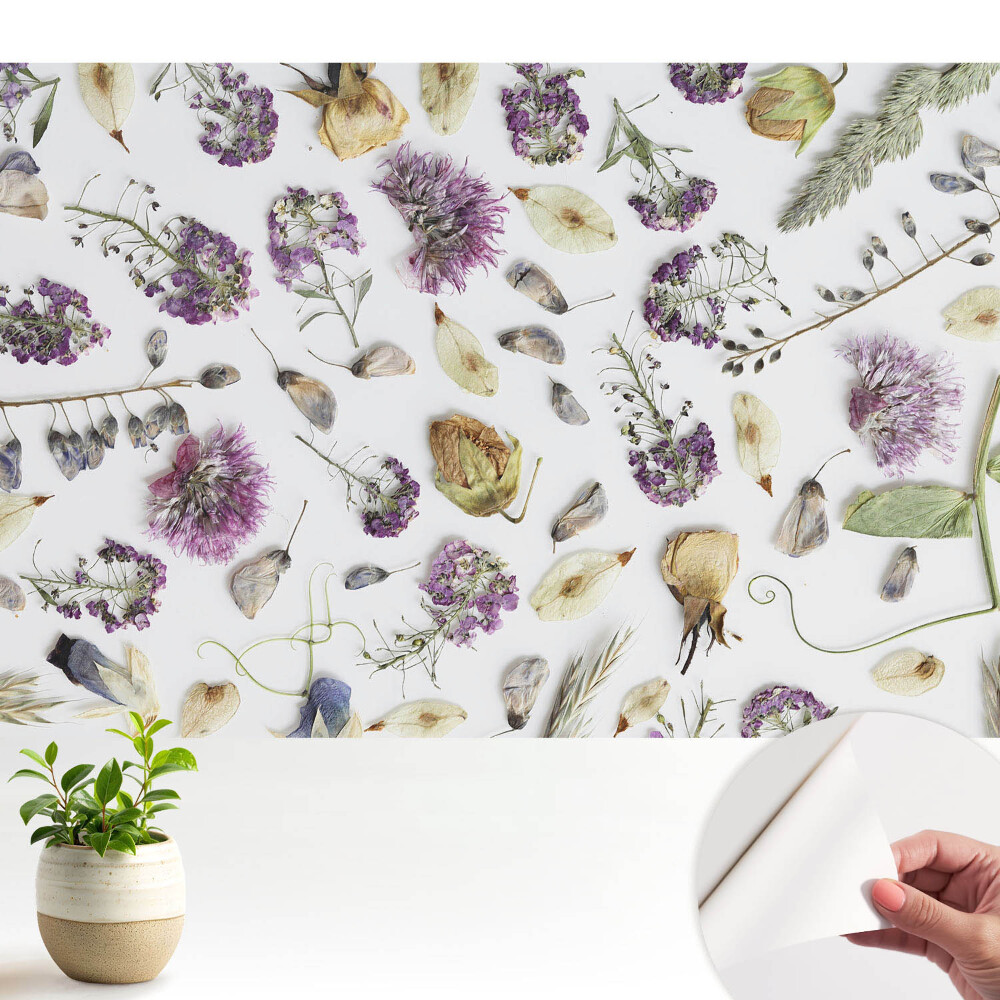 Fototapeta z nadrukiem samoprzylepna Zasuszone kwiaty na białym tle