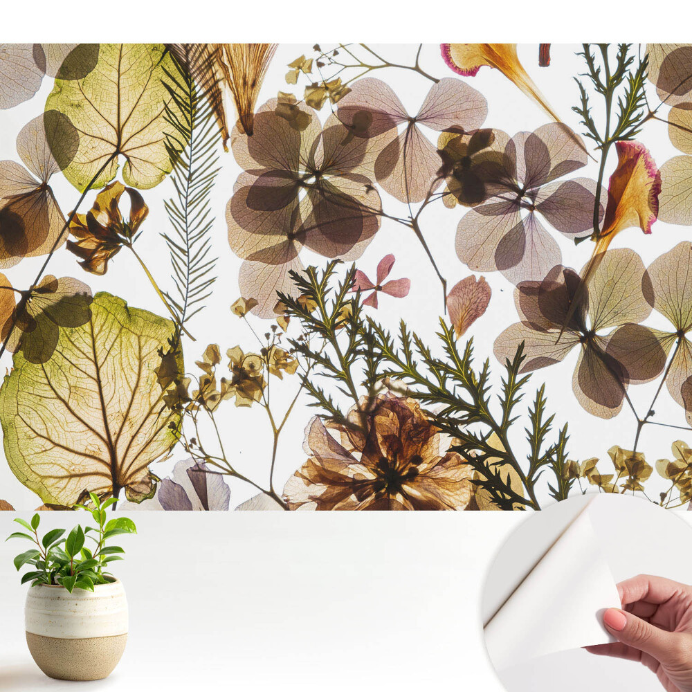 Fototapeta samoprzylepna do salonu Suszone liście i kwiaty w stylu boho