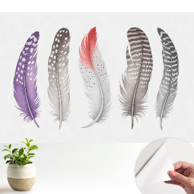 Fototapeta na wymiar do sypialni Kolorowe pióra w nowoczesnym stylu