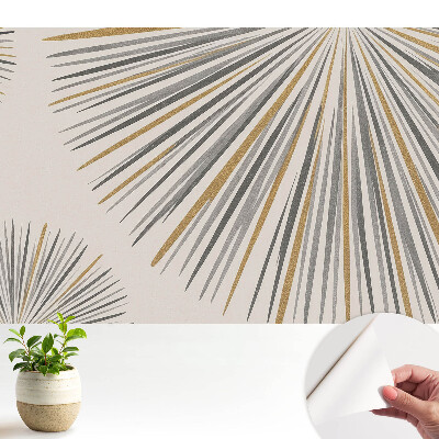 Fototapeta samoprzylepna do salonu Abstrakcyjne linie wachlarzowe