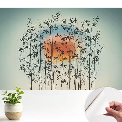 Fototapeta do salonu Bambusowe pędy harmonijny zachód