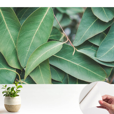 Fototapeta na wymiar do sypialni Liście zielone styl minimalistyczny harmonia