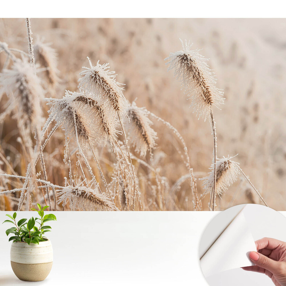 Fototapeta na wymiar do sypialni Szron na trawach zimowe piękno natura