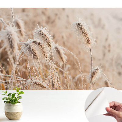 Fototapeta na wymiar do sypialni Szron na trawach zimowe piękno natura