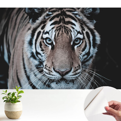 Fototapeta z nadrukiem samoprzylepna Magnetyzujący tygrys dynamiczna kompozycja