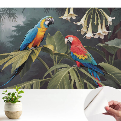 Fototapeta Tropikalne papugi egzotyka barw