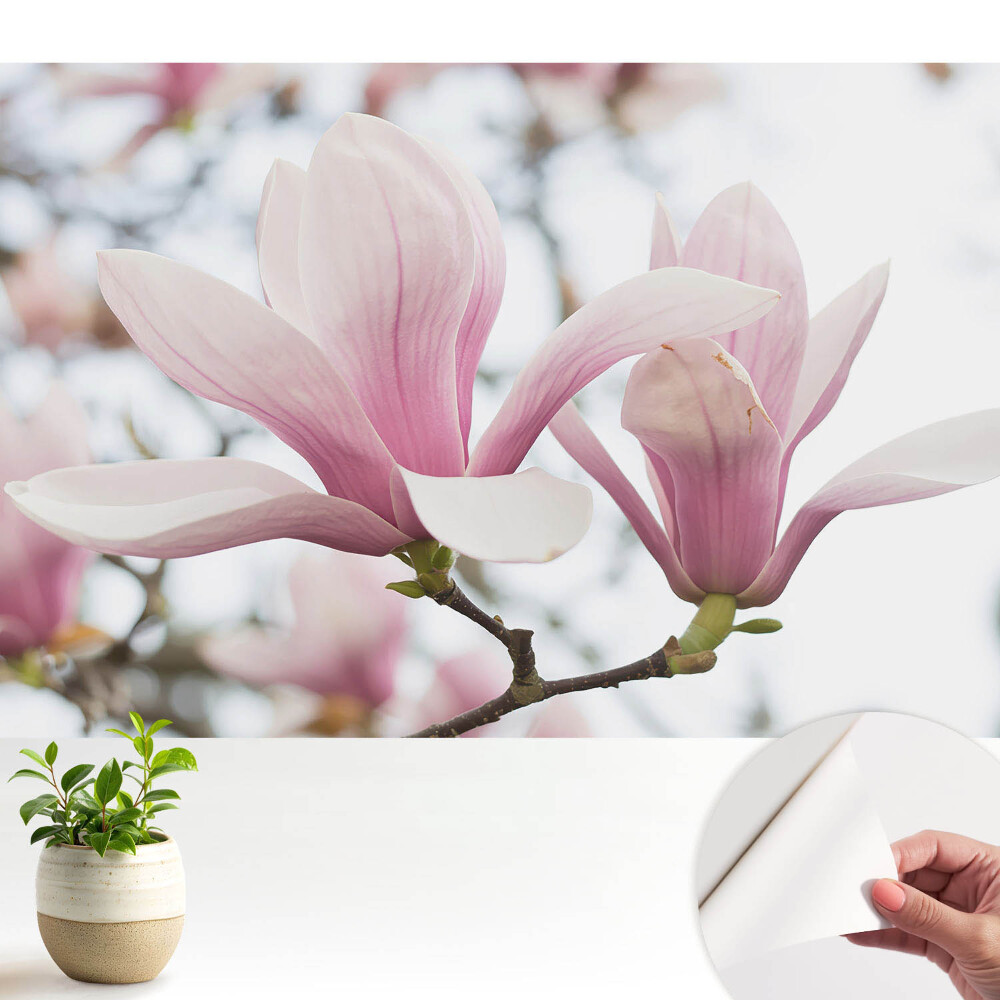 Fototapeta z nadrukiem samoprzylepna Różowe magnolie natura romantyczna