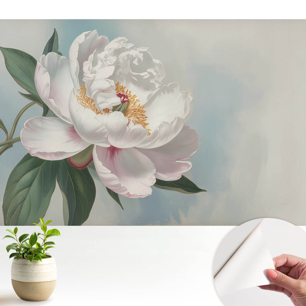 Fototapeta Peonia na błękitnym tle