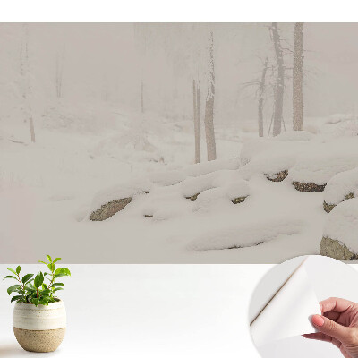 Fototapeta Zimowy krajobraz przytulny las