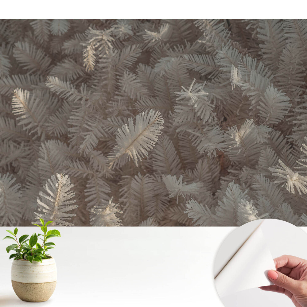 Fototapeta na wymiar do sypialni Szron na roślinach i delikatny blask