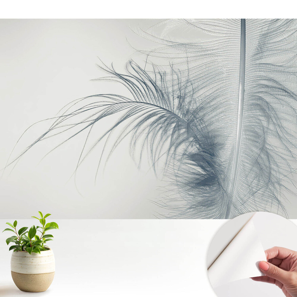 Tapeta fotograficzna samoprzylepna Motyw delikatnego pióra lekkość i harmonia