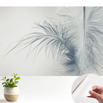 Tapeta fotograficzna samoprzylepna Motyw delikatnego pióra lekkość i harmonia