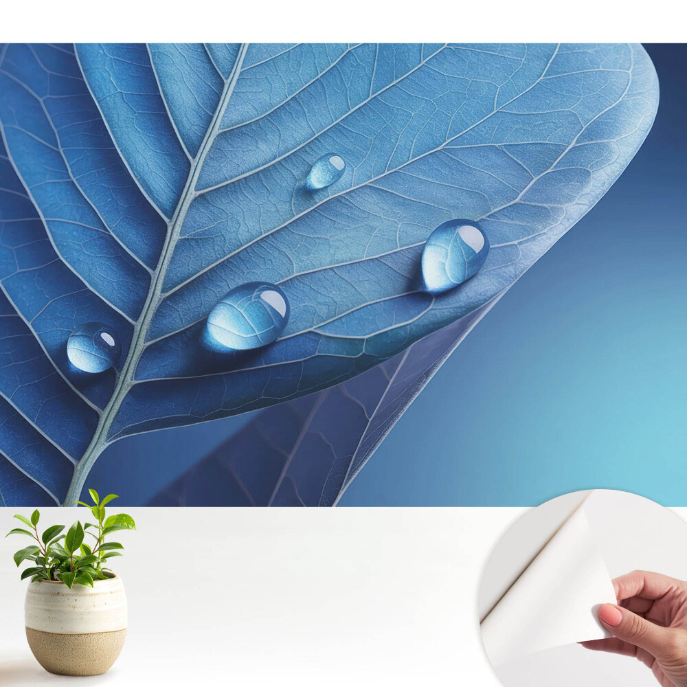 Fototapeta do salonu Abstrakcyjny liść z kroplami wody