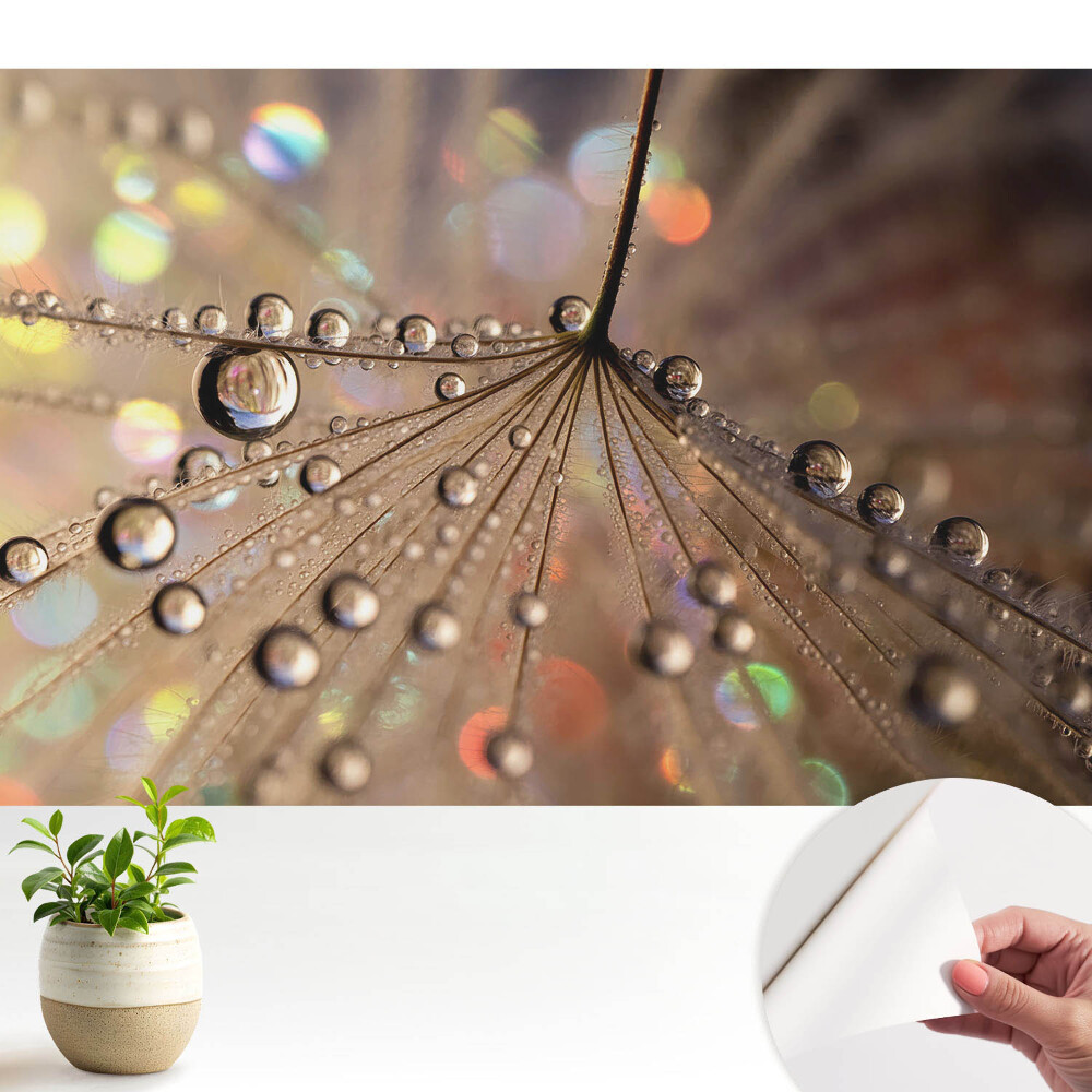 Fototapeta do salonu Delikatna struktura kropli rozproszonych na tle