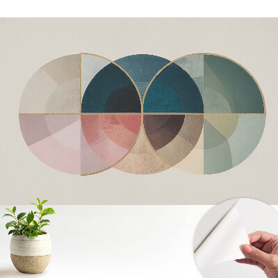 Fototapeta do salonu Kolorowe koła w stylu nowoczesnym