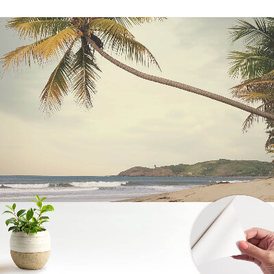 Fototapeta do salonu Palma i plaża egzotyczna