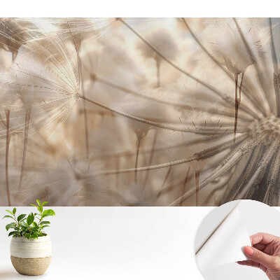 Tapeta fotograficzna samoprzylepna Eteryczne dmuchawce harmonia natury