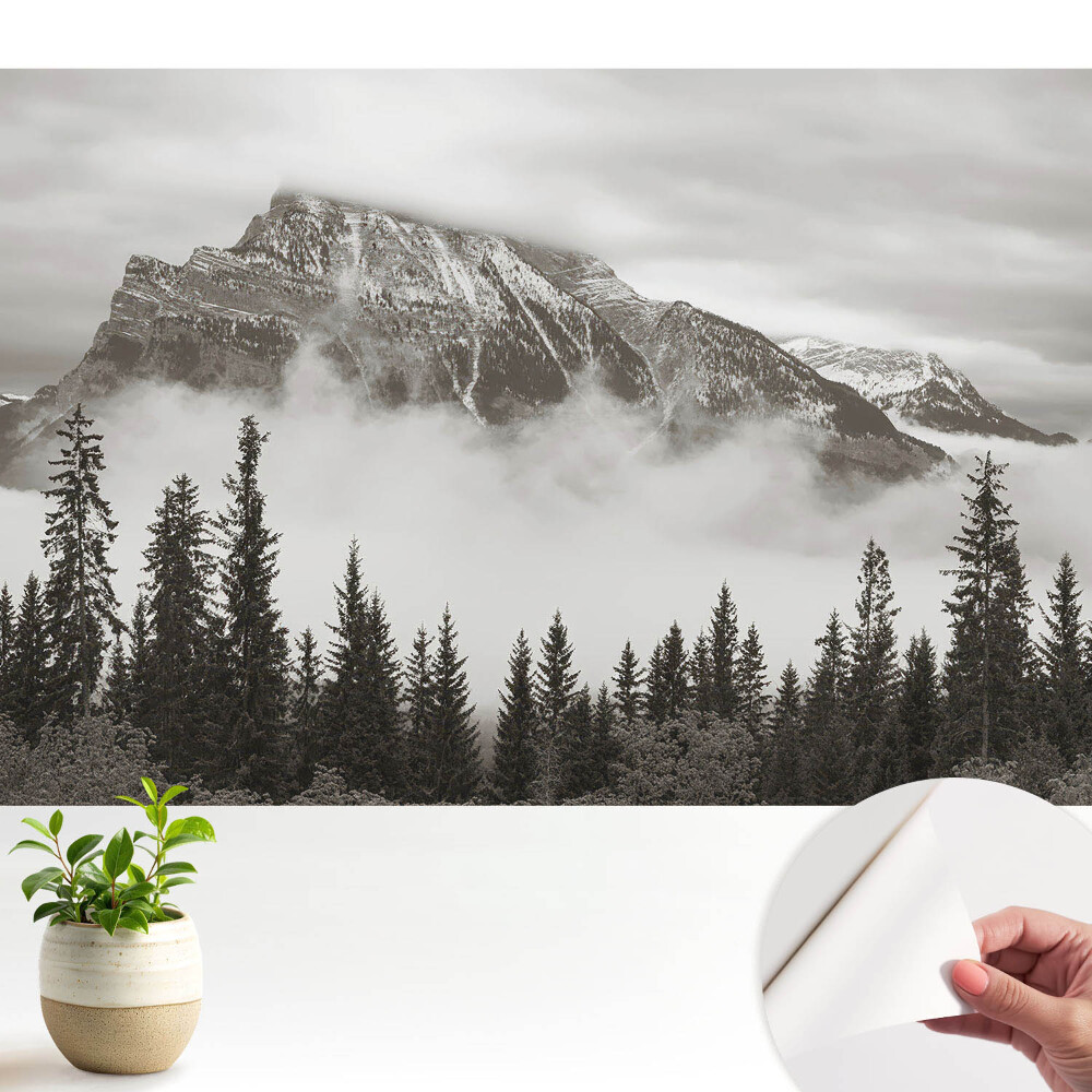 Tapeta fotograficzna samoprzylepna Górski krajobraz w otoczeniu mgły