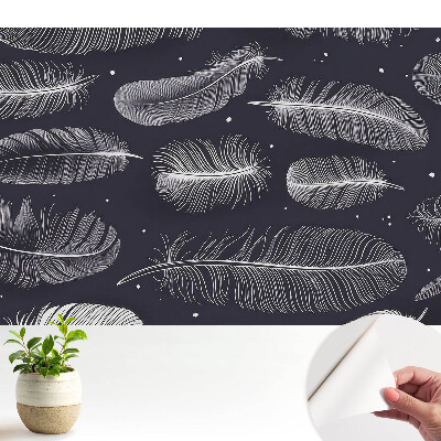 Tapeta fotograficzna samoprzylepna Pióra na ciemnym tle