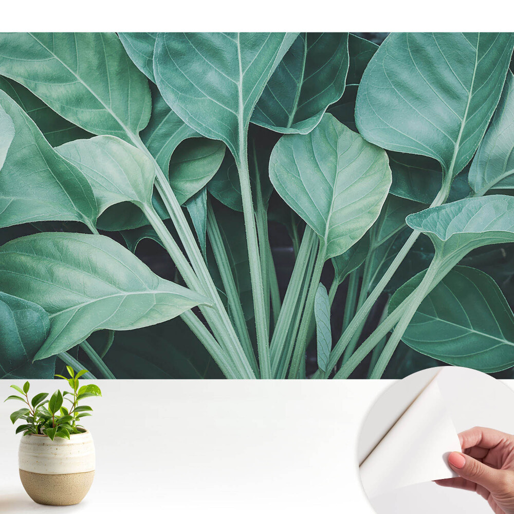 Fototapeta z nadrukiem samoprzylepna Zielone liście natura harmonia