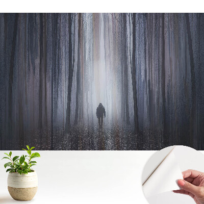 Tapeta fotograficzna samoprzylepna Samotna postać w tajemniczym lesie