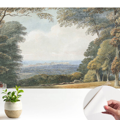 Fototapeta samoprzylepna do salonu Pejzaż przy lesie widok miasta