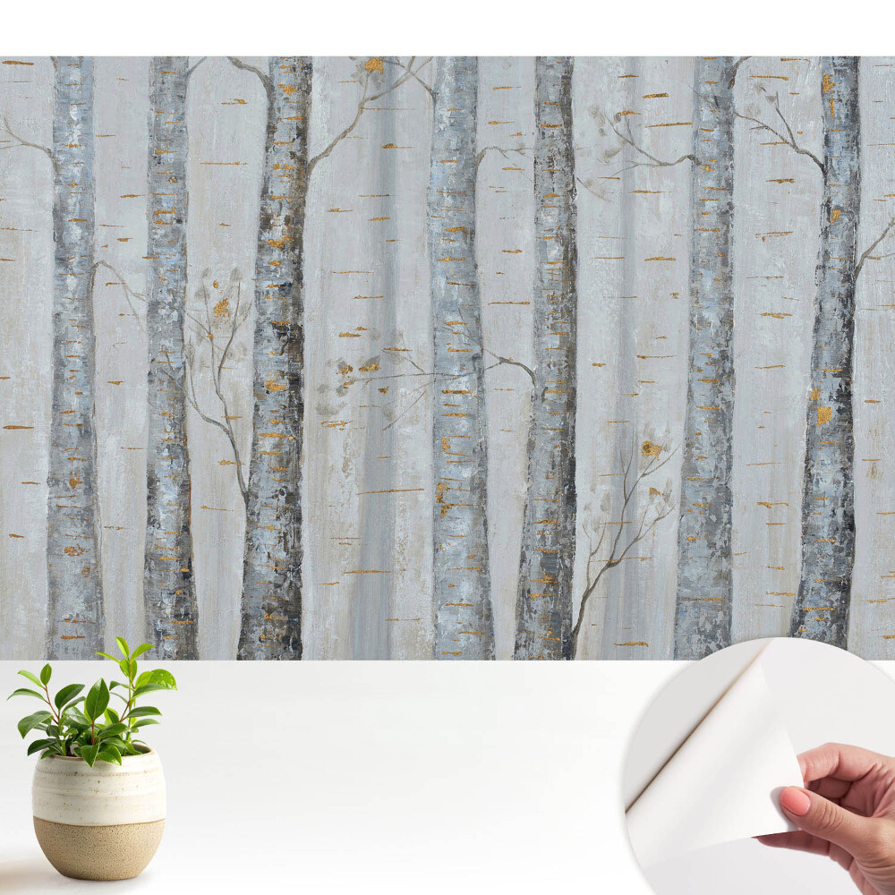 Tapeta fotograficzna samoprzylepna Brzozowy las w klasycznej kompozycji