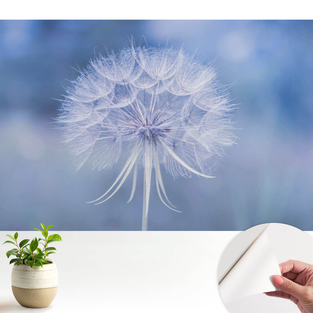 Fototapeta z nadrukiem samoprzylepna Dmuchawiec w błękitnej tonacji