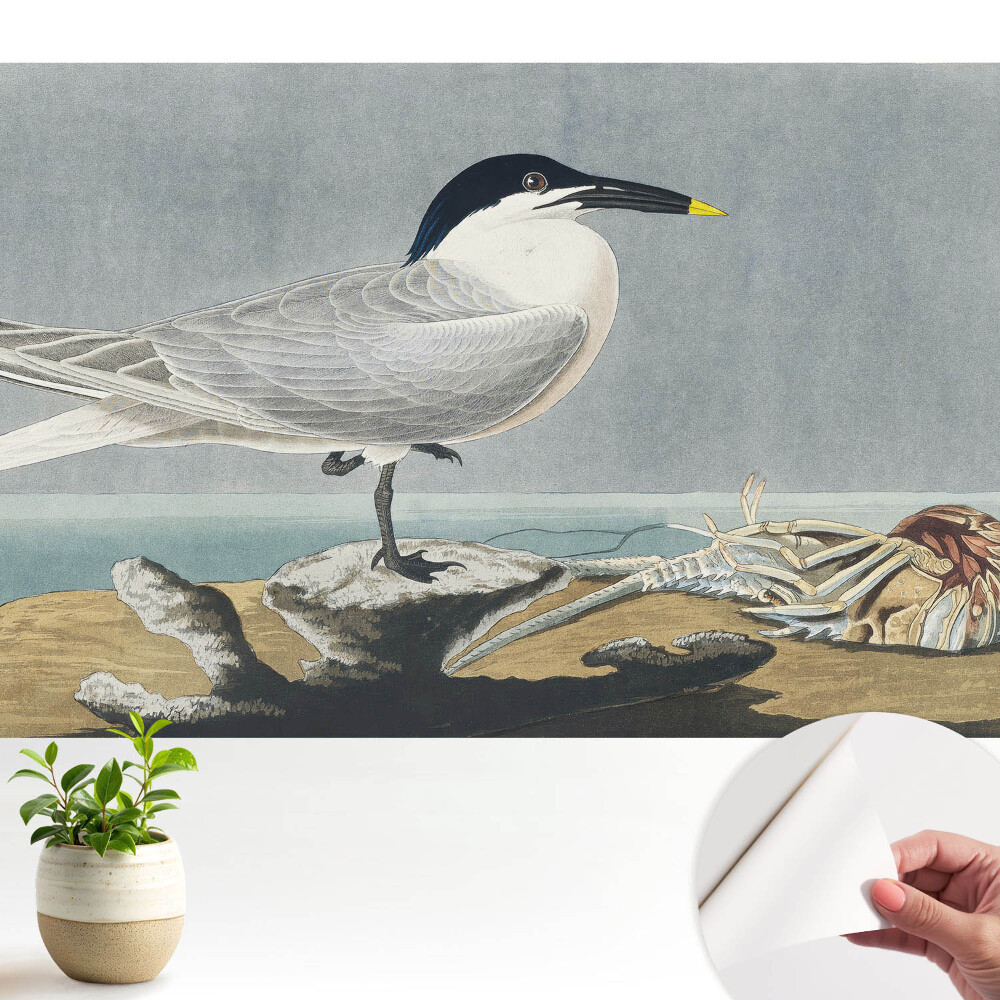 Fototapeta do salonu Elegancki ptak na tle morza