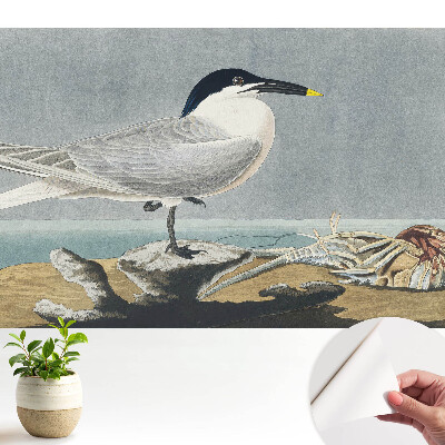 Fototapeta do salonu Elegancki ptak na tle morza