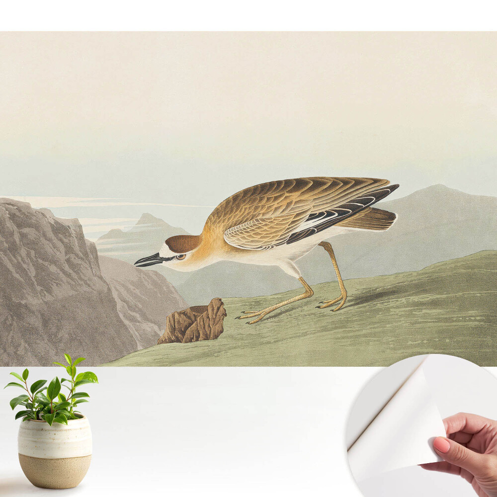 Tapeta fotograficzna samoprzylepna Ptaszek na zboczu góry