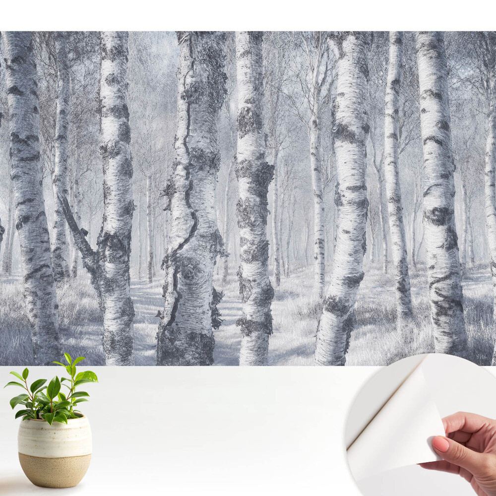 Fototapeta samoprzylepna do salonu Zimowy las brzózowy