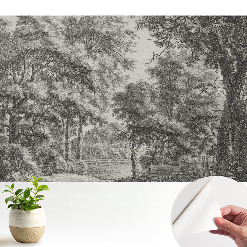 Nowoczesna fototapeta na wymiar Klasyczny leśny pejzaż harmonia i spokój