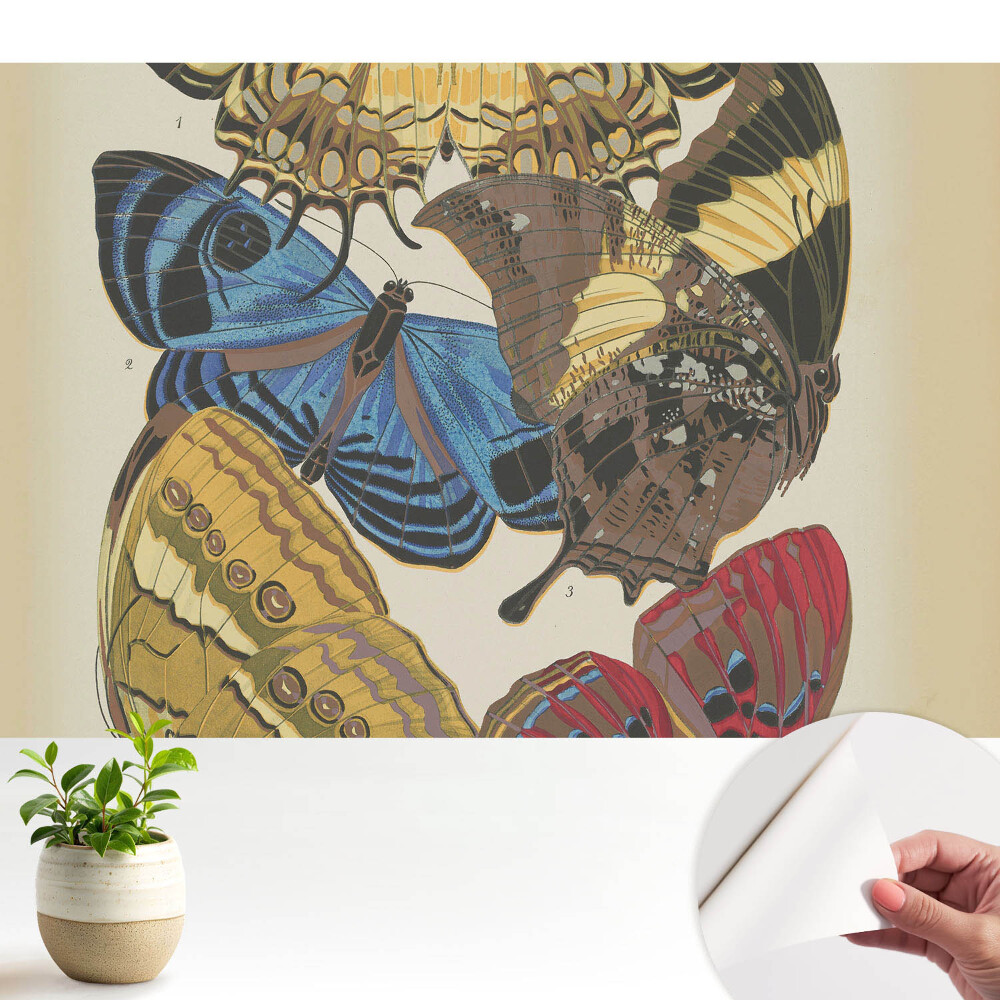 Tapeta fotograficzna samoprzylepna Kolorowe motyle w eleganckiej kompozycji