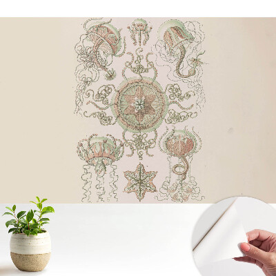 Nowoczesna fototapeta na wymiar Delikatne meduzy symetryczny motyw