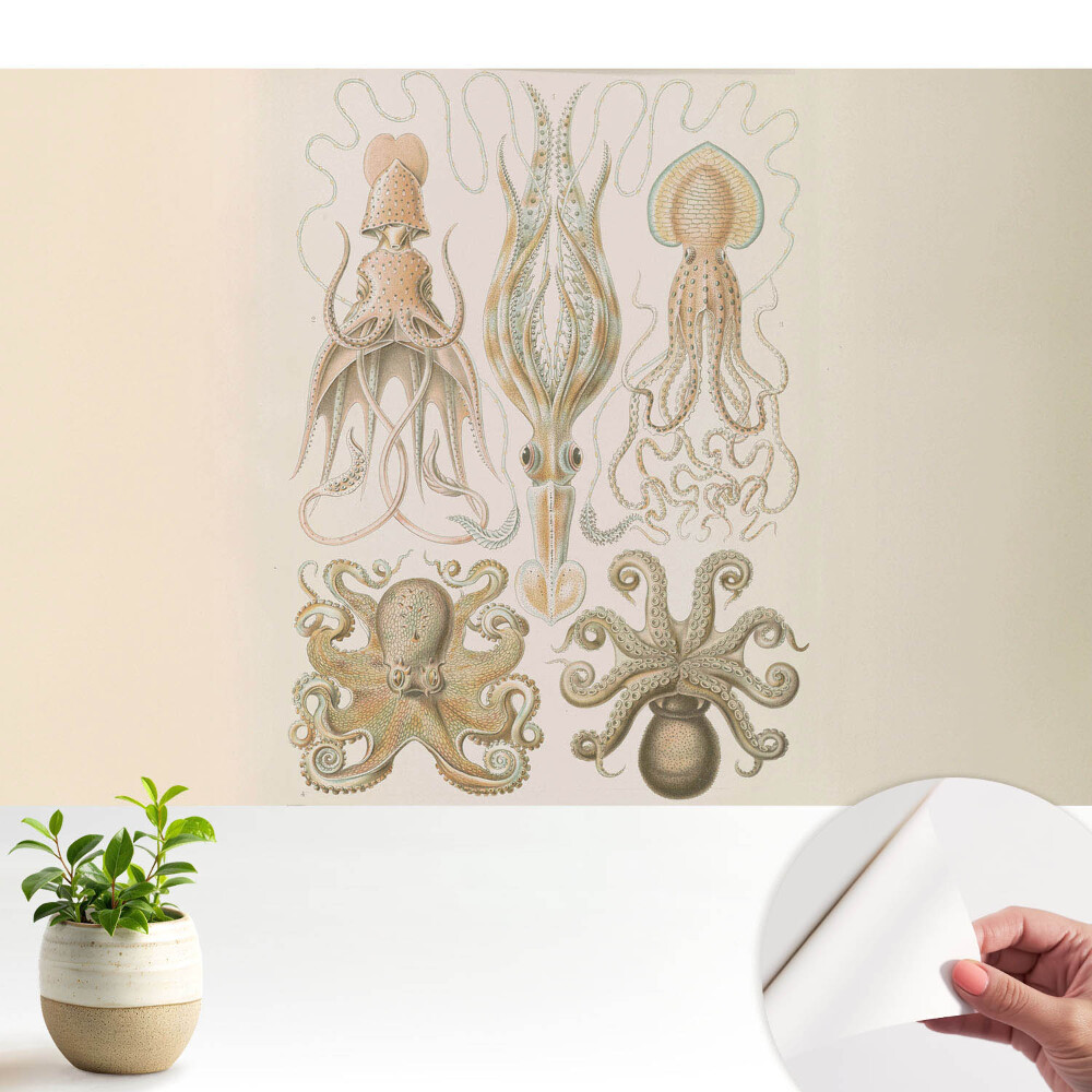 Fototapeta na wymiar do sypialni Morskie głowonogi harmonia detali