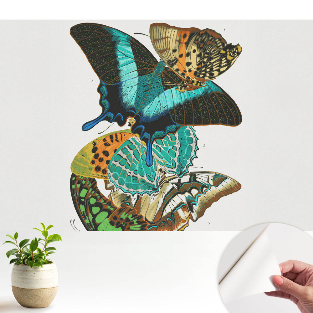 Fototapeta samoprzylepna do salonu Kolorowe motyle klasyka harmonijna kompozycja