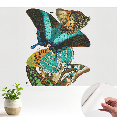 Fototapeta samoprzylepna do salonu Kolorowe motyle klasyka harmonijna kompozycja