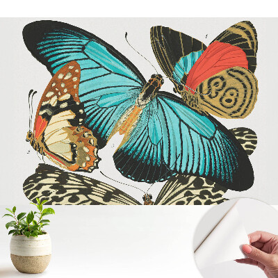 Tapeta fotograficzna samoprzylepna Kolorowe motyle w klasycznym stylu