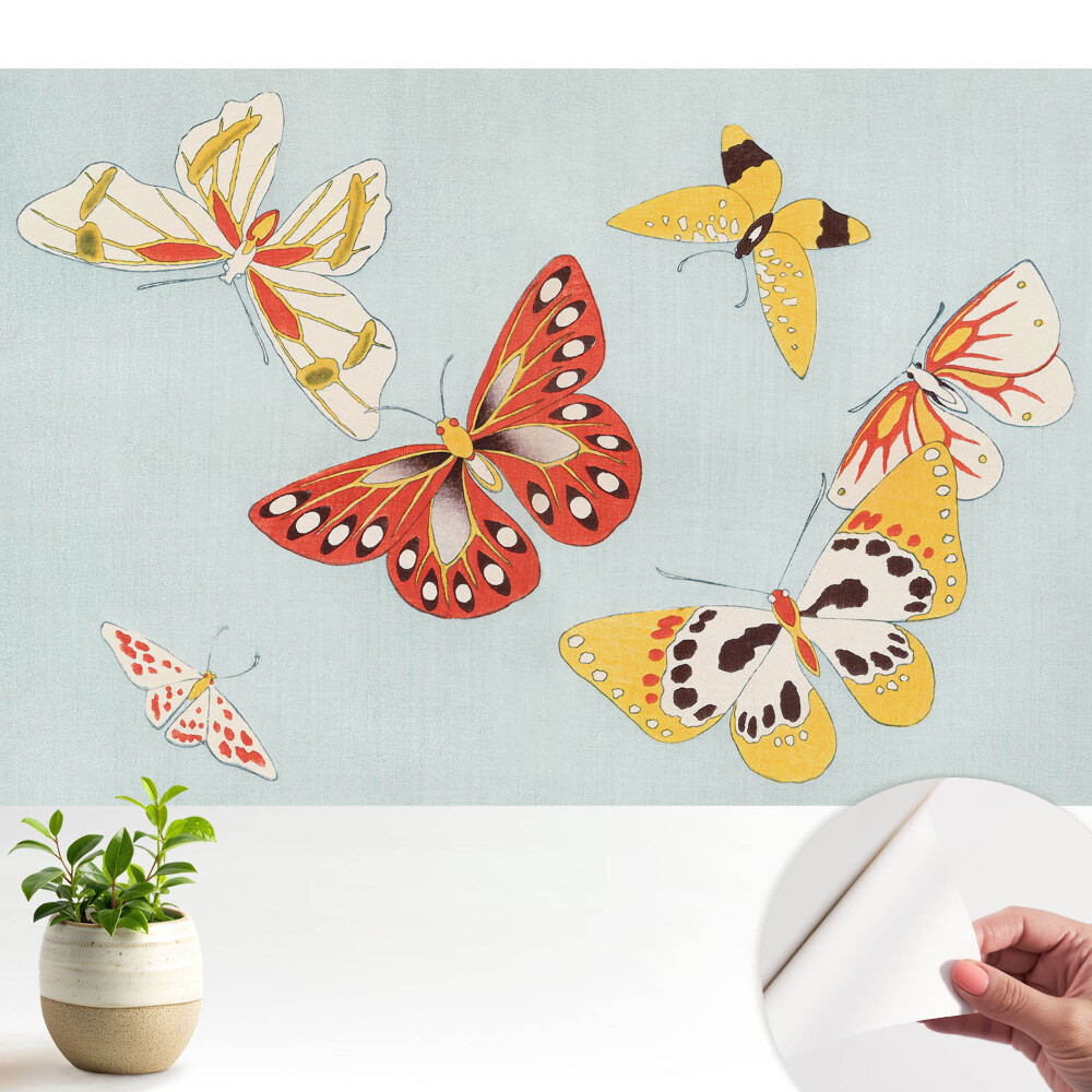 Fototapeta do salonu Kolorowe motyle na jasnym tle