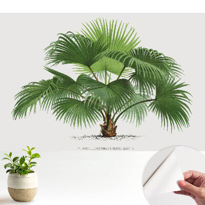 Nowoczesna fototapeta na wymiar Palma elegancja klasyczna