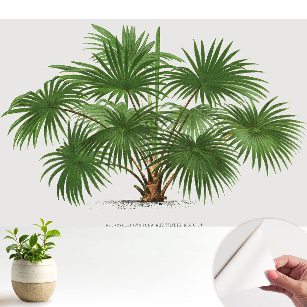 Fototapeta na wymiar do sypialni Zielona palma symetryczna kompozycja