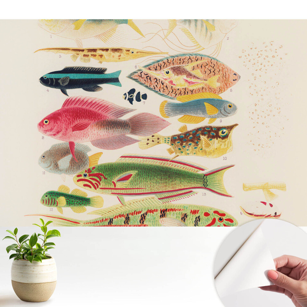 Fototapeta na wymiar do sypialni Różnorodne ryby w klasycznym stylu