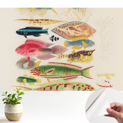Fototapeta na wymiar do sypialni Różnorodne ryby w klasycznym stylu