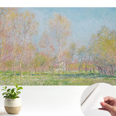 Fototapeta samoprzylepna do salonu Impresjonistyczny pejzaż wiosenny park